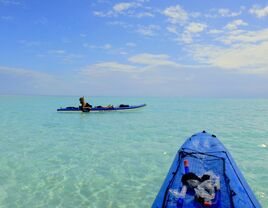 A couple kayaking on their honeymoon