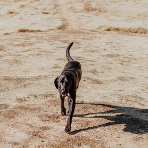 Gallery Photo 20
