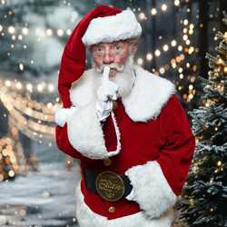 Santa Walt and Friends, profile image