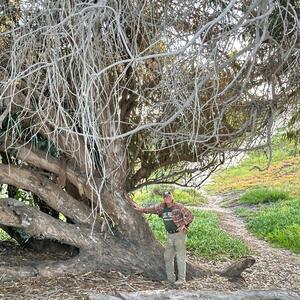 Gallery Photo 14
