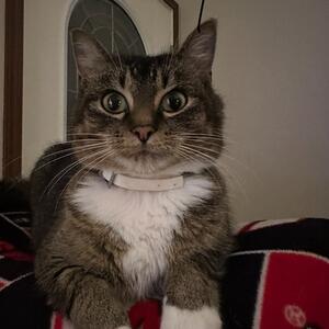 Gallery Photo 48