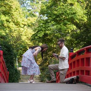 Gallery Photo 58