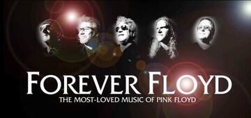 FOREVER FLOYD - Rock Band - Chicago, IL - Hero Main