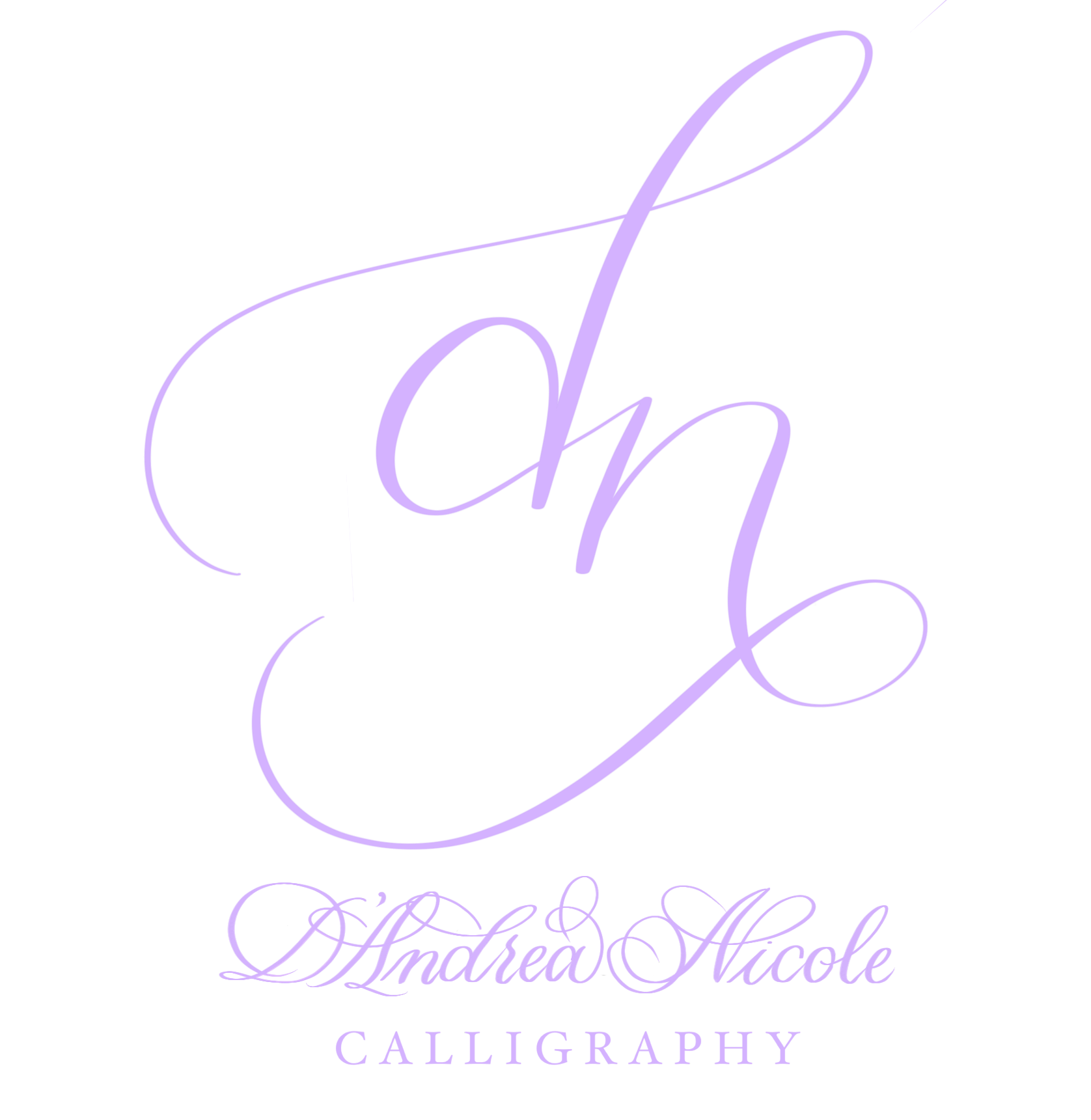 D’Andrea Nicole Calligraphy | Invitations & Paper Goods - The Knot