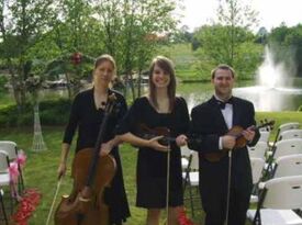The Wedding Players - String Quartet - Kennesaw, GA - Hero Gallery 1