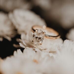 Gallery Photo 43