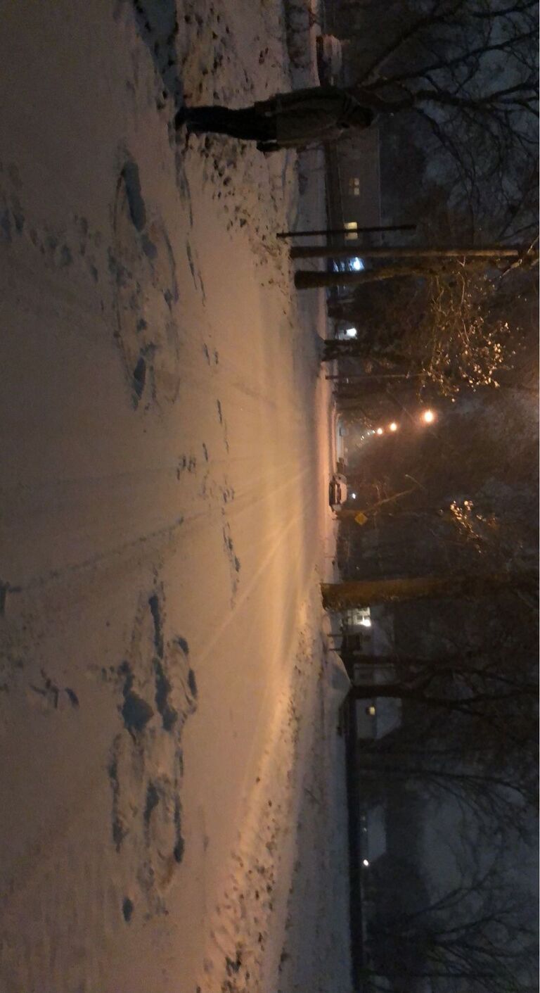 We couldn't resist making snow angels on our street after the walk home from the game.