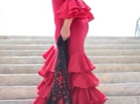 Flamenco My Way - Flamenco Dancer - Fort Lauderdale, FL - Hero Gallery 4