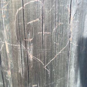Gallery Photo 8