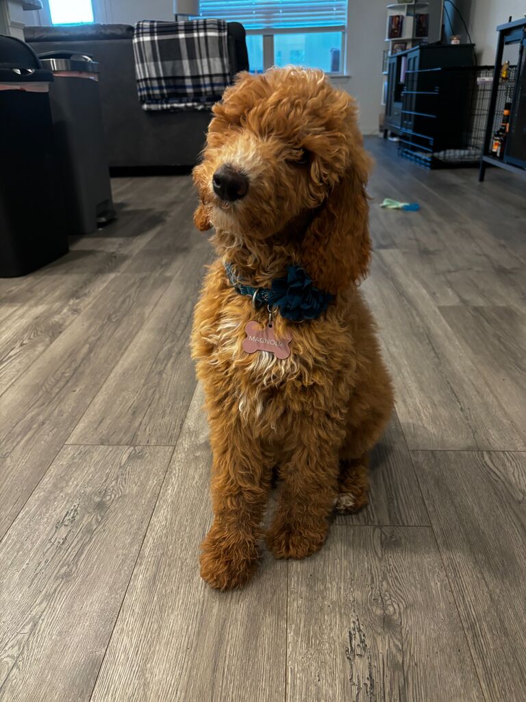 Welcome Home, Magnolia Rae!