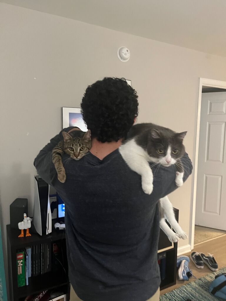 JoeJoe meets his new sister Cleo.