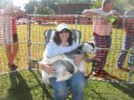 Elliemae And Friends- Petting Zoo And Pony Rides - Animal For A Party - Thurmond, NC - Hero Gallery 3