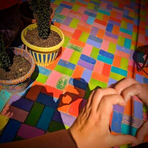 Gallery Photo 59