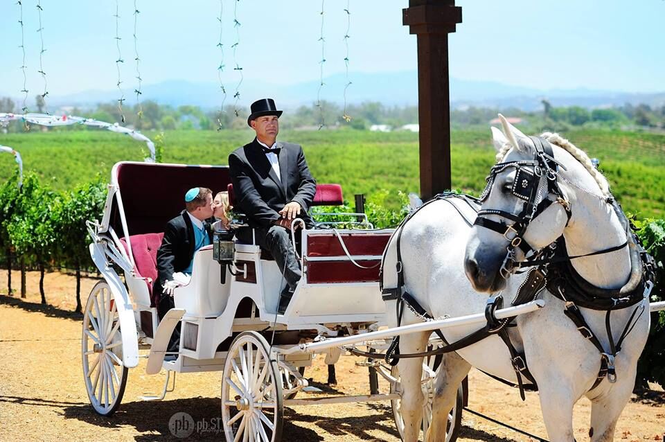 The Temecula Carriage Company + Updated Prices - The Knot