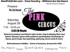 The Pink Circus - Circus Performer - Wichita, KS - Hero Gallery 3