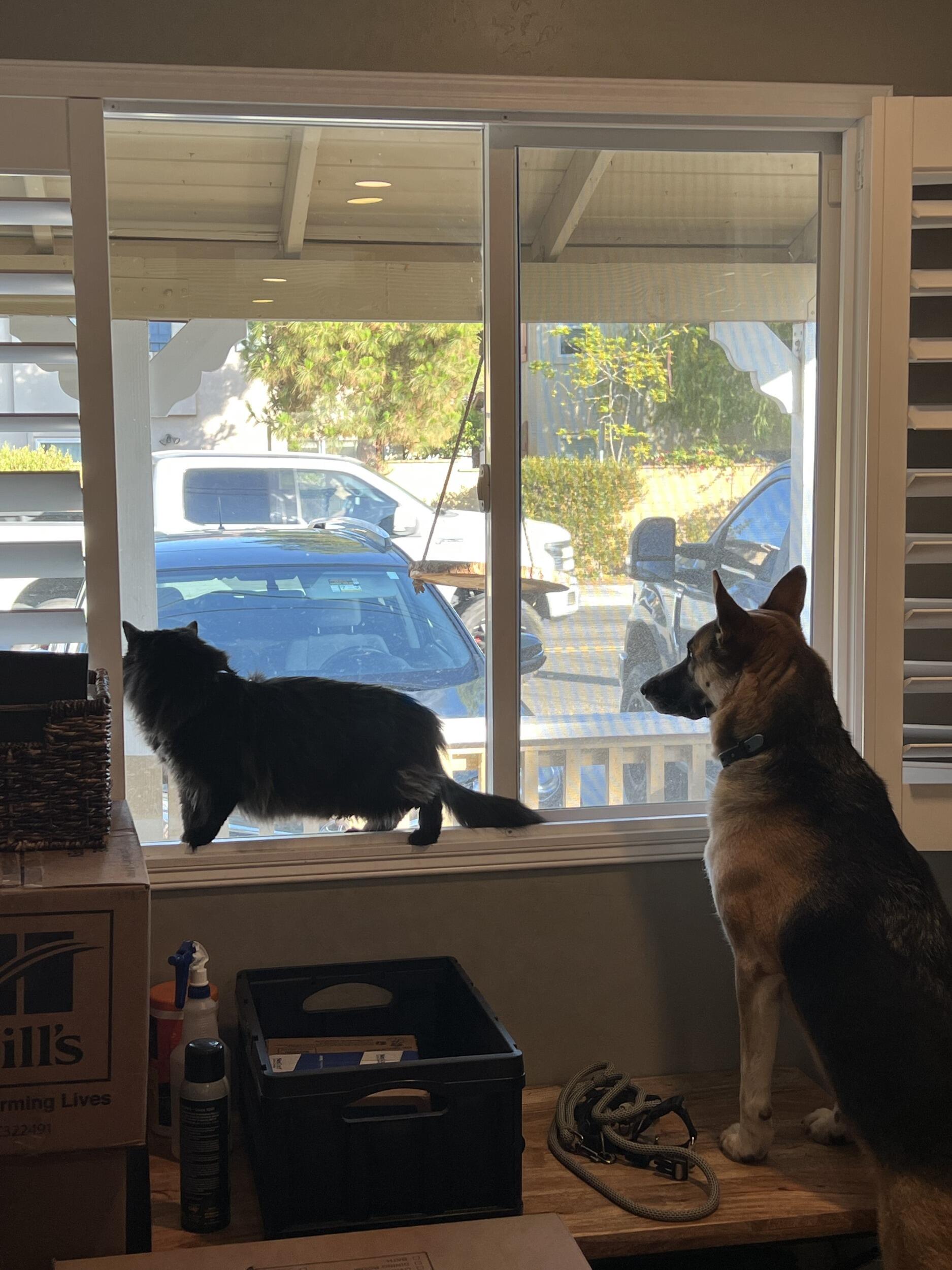 To moving in together