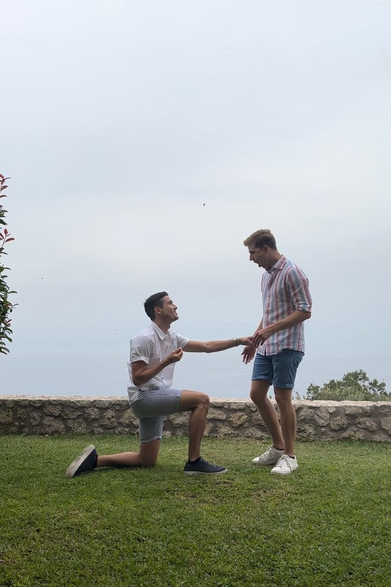 The proposal 