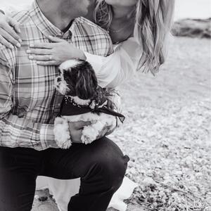 Gallery Photo 7