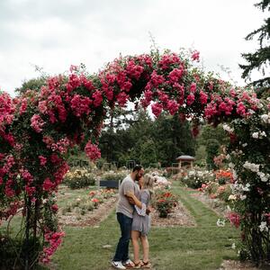 Gallery Photo 41