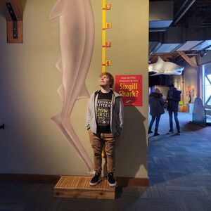 Gallery Photo 19