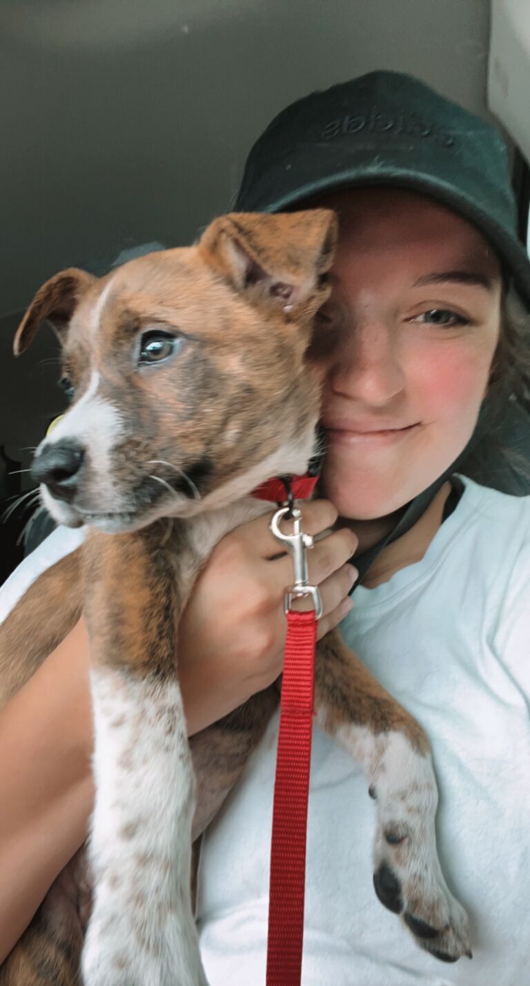We brought home our first fur baby, Basil!