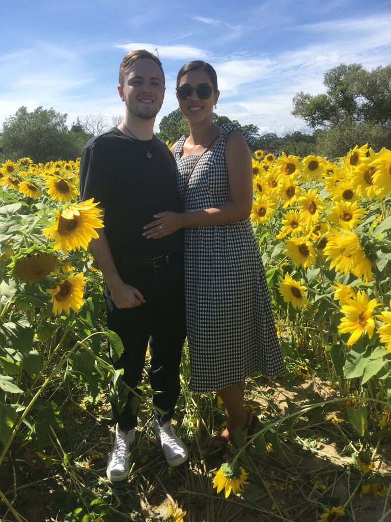 Sunflower Fields in Newbury