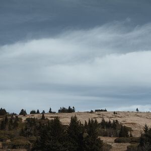 Gallery Photo 1