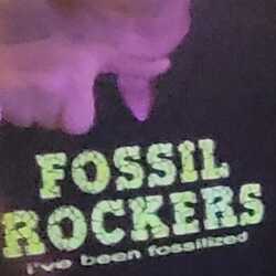 The Fossil Rockers, profile image