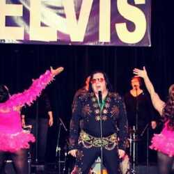 Elvis Himselvis W Or W/o Dtcb Band, profile image