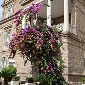 Gallery Photo 20