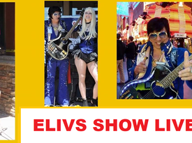 THE ELVIS SHOW - Elvis Impersonator - Las Vegas, NV - Hero Gallery 1