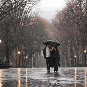 Gallery Photo 25