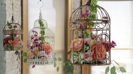 85 Celebration of life ideas for mum  celebration of life, bird cage  decor, memorial service invitation