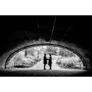 Gallery Photo 15