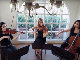 Organic String Quartet - String Quartet - Los Angeles, CA - Hero Gallery 3