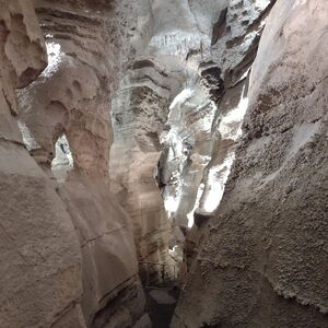 Gallery Photo 1