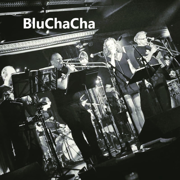 BluChaCha - Variety Band - Catskill, NY - Hero Main