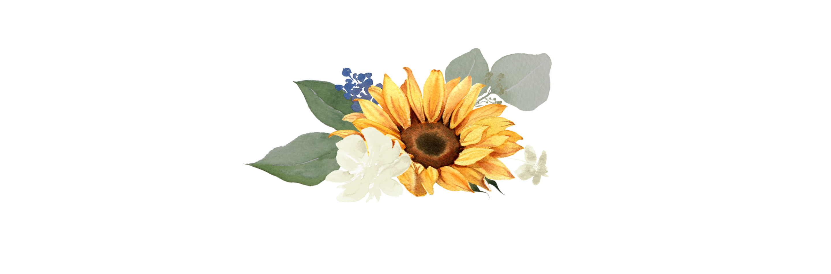 Top Theme Image