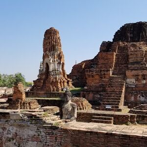 Gallery Photo 15