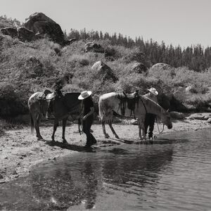Gallery Photo 19