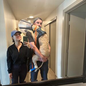 Gallery Photo 28