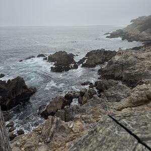 Gallery Photo 13