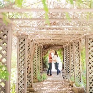 Gallery Photo 14
