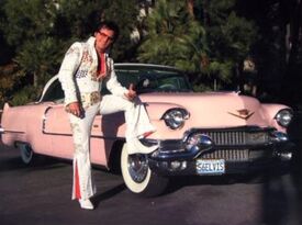 Eddie Powers - Elvis Impersonator - Las Vegas, NV - Hero Gallery 2