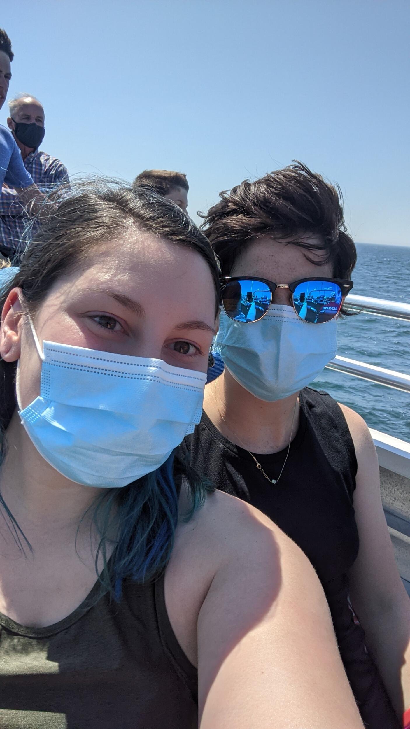 Seal tour in Bar Harbor