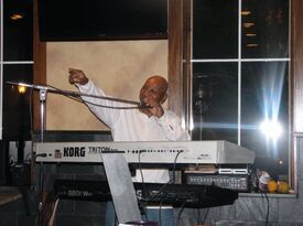 Lannie Williams One Man Band Keyboard/Vocalist  - Singer - Park Forest, IL - Hero Gallery 4