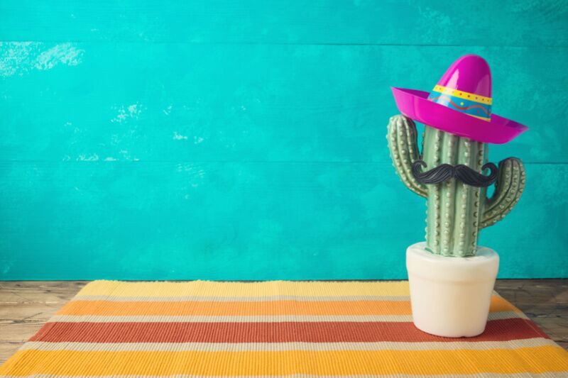 Gender reveal party ideas - señor or señorita theme