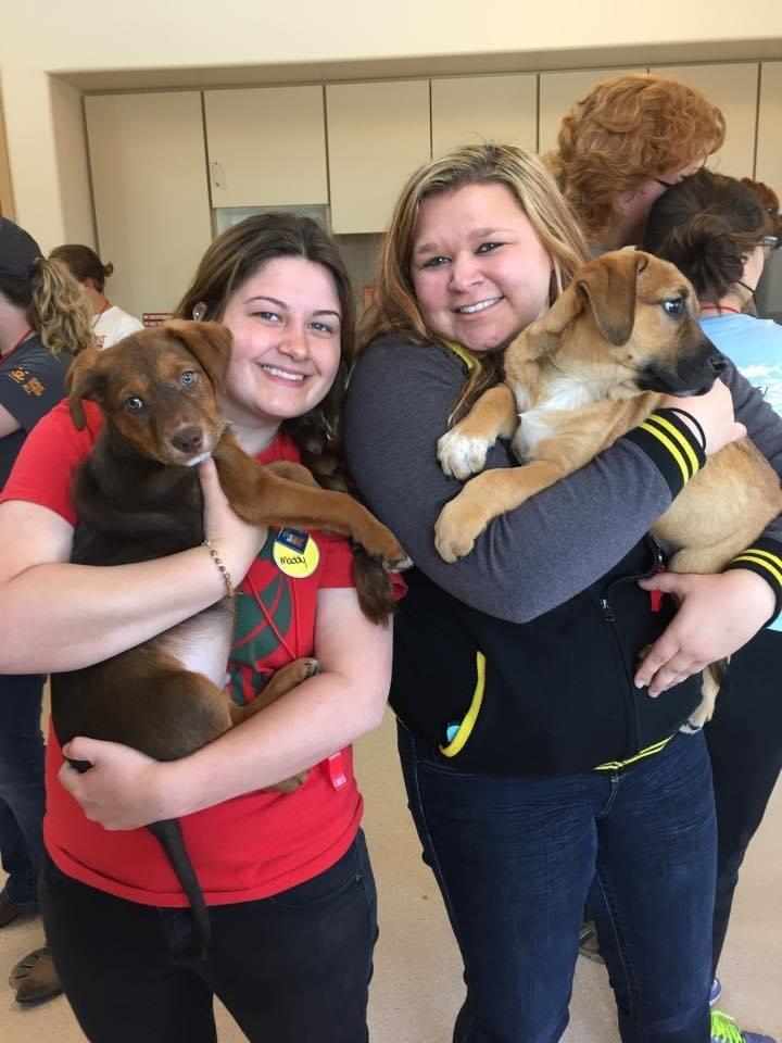 The first picture we got volunteering together! At this point, we had been friends for over two years!