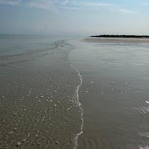 Gallery Photo 5