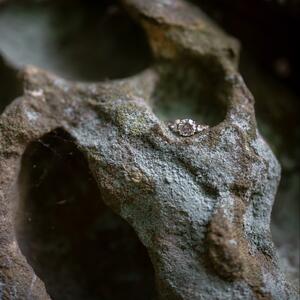 Gallery Photo 22